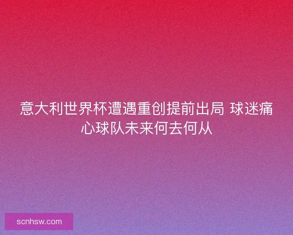 意大利世界杯遭遇重创提前出局 球迷痛心球队未来何去何从